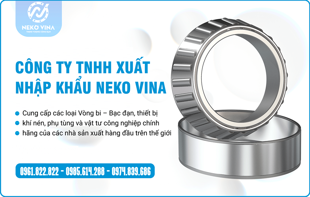 Công Ty TNHH Xuất Nhập Khẩu Neko Vina