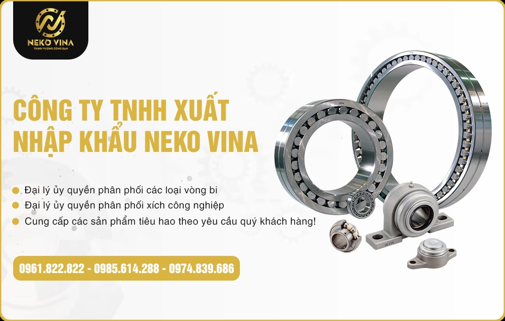 Công Ty TNHH Xuất Nhập Khẩu Neko Vina