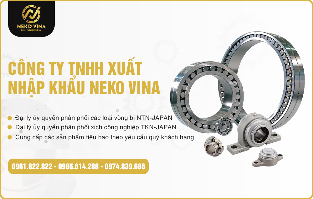 Công Ty TNHH Xuất Nhập Khẩu Neko Vina