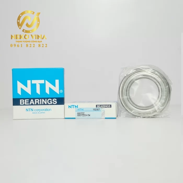 Vòng bi cầu 1 dãy 6007ZZ