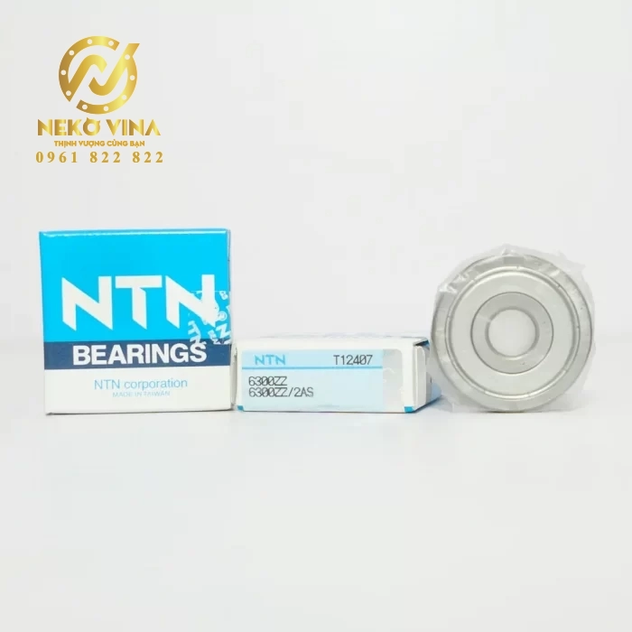 Vòng bi cầu 1 dãy 6300ZZ