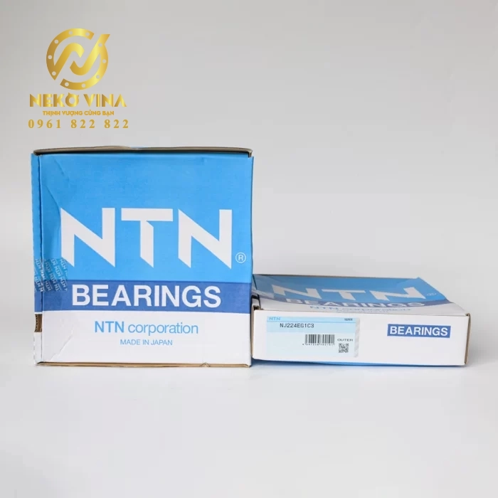 Vòng bi đũa NJ224EG1C3 Outer