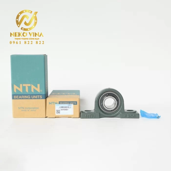 Gối tiêu chuẩn UCP206D1