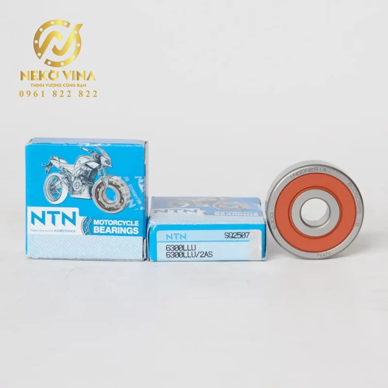 Công Ty TNHH Xuất Nhập Khẩu Neko Vina